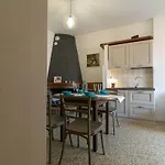 Mamma Ciccia - Root 12 *