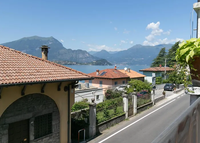 Mamma Ciccia - Root 12