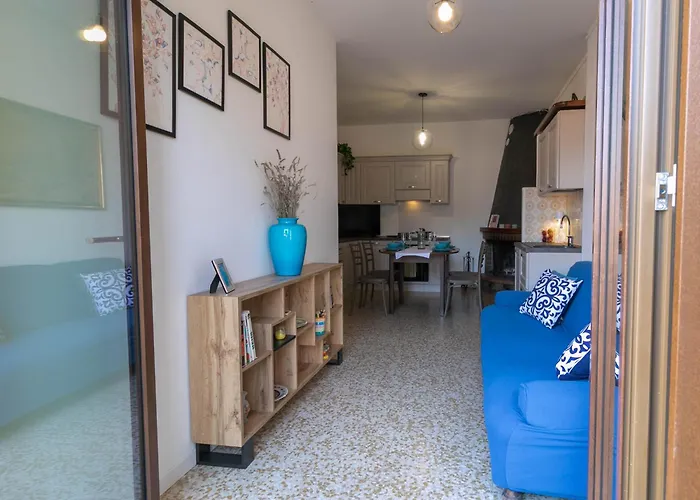 Mamma Ciccia - Root 12 *